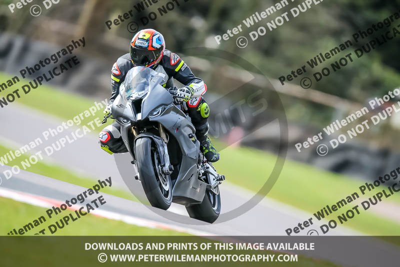 Oulton Park 21st March 2020;PJ Motorsport Photography 2020;anglesey;brands hatch;cadwell park;croft;donington park;enduro digital images;event digital images;eventdigitalimages;mallory;no limits;oulton park;peter wileman photography;racing digital images;silverstone;snetterton;trackday digital images;trackday photos;vmcc banbury run;welsh 2 day enduro